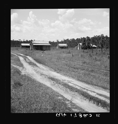Untitled photo, possibly related to: Turpentine worker's cabins. Valdosta, Georgia