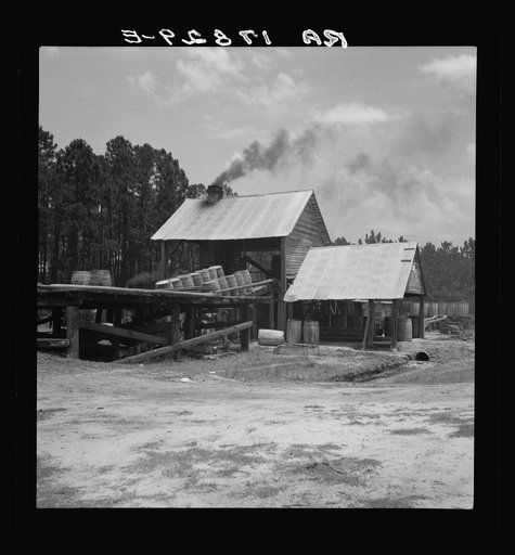 Untitled photo, possibly related to: Turpentine still in the Piney Woods near Valdosta, Georgia