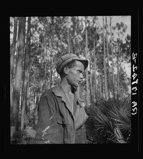 Turpentine "chipper" near Homerville, Georgia