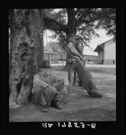 Stranded residents of Careyville, Florida, who formerly obtained a livelihood from the lumber industry