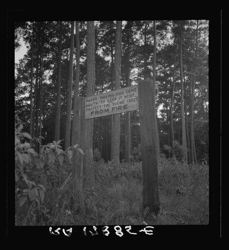 Roadsign. Fullerton, Louisiana