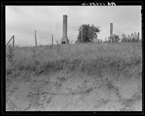 Standing chimneys are a common sight in Greene County, Georgia. They often stand in gullied fields and indicate where once was a plantation home