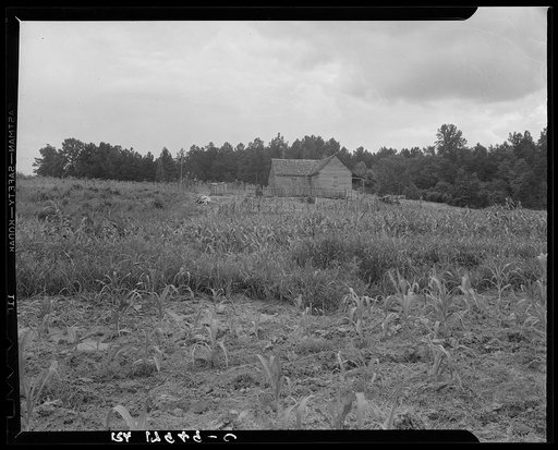Typical owner-operated small farm of Greene County, Georgia