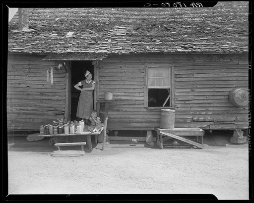 Wife and child of sharecropper near Gaffney, South Carolina. The farmer does a little day labor for his landlord. He received fifty cents a day in 1936, sixty to seventy-five cents in 1937. He raised seven bales of cotton on thirteen acres; half to his landlord