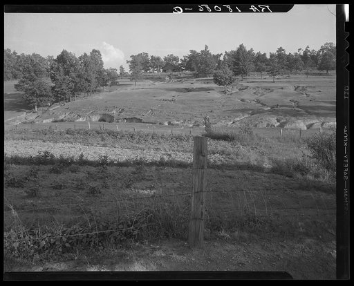 Erosion near Lawrenceville, Georgia. This field has been terraced, but not cultivated in the last fifteen years