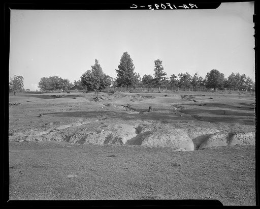 Erosion near Lawrenceville, Georgia. This field has been terraced, but not cultivated in the last fifteen years