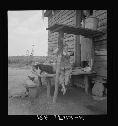 Child of sharecropper. Near Gaffney, South Carolina