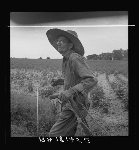 South Carolina sharecropper