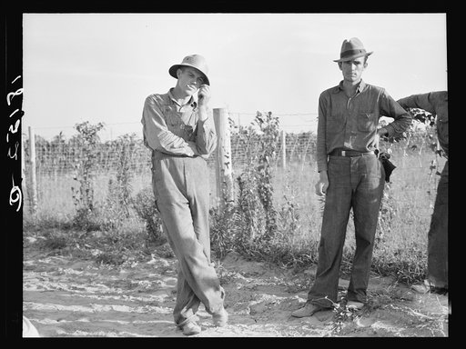 Untitled photo, possibly related to: Farm Security Administration (FSA) cooperative farm, Lake Dick, Arkansas. All farmers on this project are young Arkansas farmers selected from all parts of the state