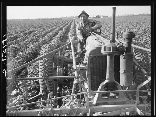 Untitled photo, possibly related to: Tractors on Lake Dick project, Arkansas