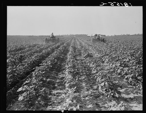 Tractors on Lake Dick project, Arkansas