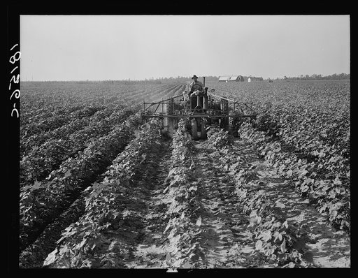 Tractors on Lake Dick project, Arkansas