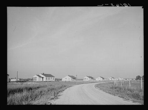 Houses at Lake Dick cooperative, Arkansas