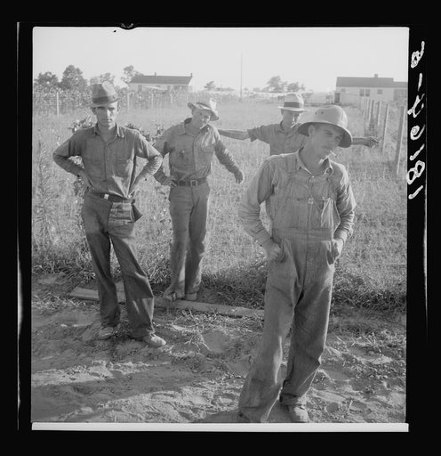 Untitled photo, possibly related to: Farm Security Administration (FSA) cooperative farm, Lake Dick, Arkansas. All farmers on this project are young Arkansas farmers selected from all parts of the state