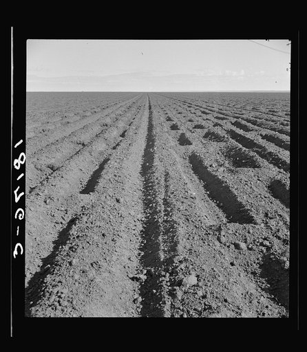 Basin listing on the great plains of the Texas Panhandle
