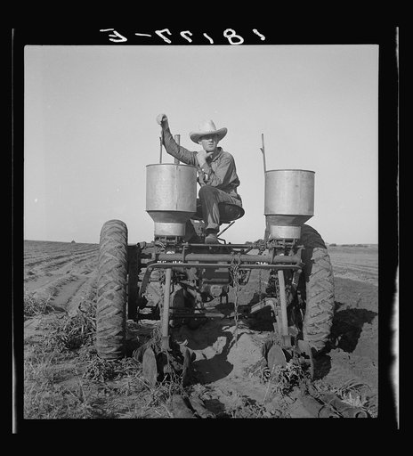 Tractor operator in western cotton fields. Works as wage laborer, earns one dollar per day. Childress County, Texas