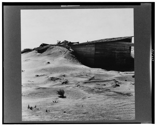 Abandoned farm. Coldwater District, north of Dalhart, Texas