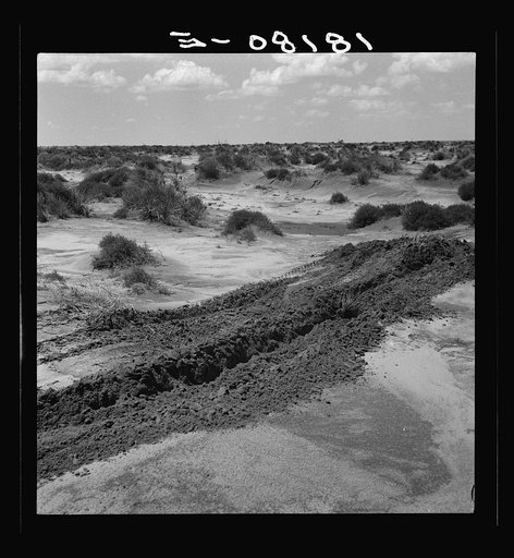Leveling hummocks in the dust bowl. Coldwater District, thirty miles north of Dalhart, Texas