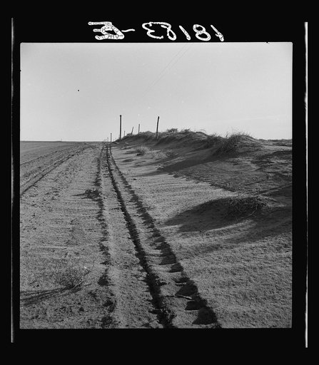 Sand drift along fence. Dust Bowl, north of Dalhart, Texas