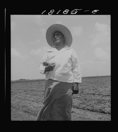 Wife of a Mexican sharecropper near Bryan, Texas
