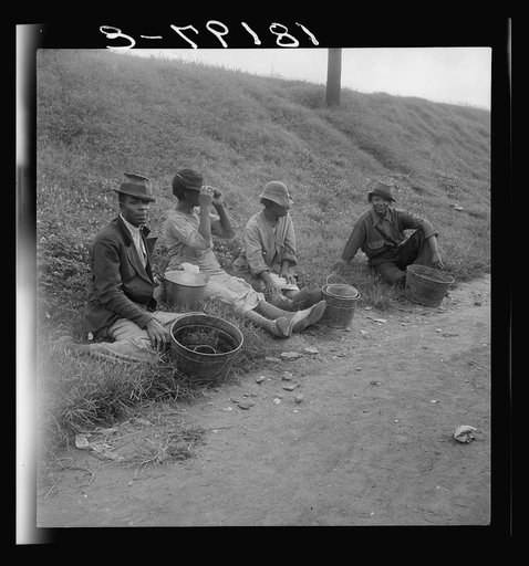 Berry pickers at 5 a.m. Waiting for the truck to haul them to work. Earn about sixty cents per day. Memphis, Tennessee