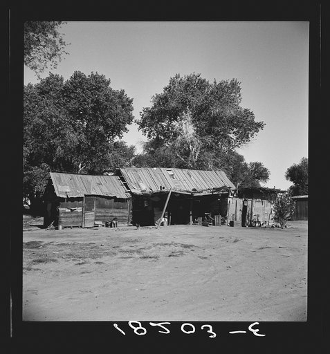 Mexican laborer's house and 1500 acre cantaloupe ranch adjacent to Mexican border. Imperial Valley, California