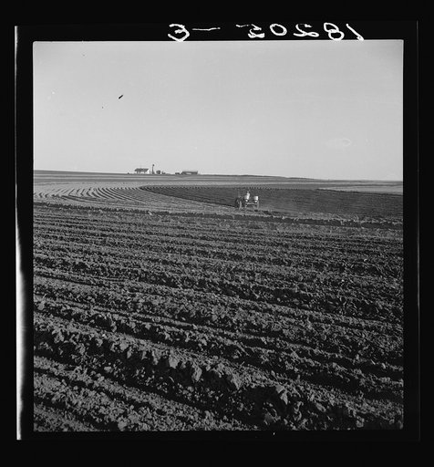 Contour plowing on mechanized farms. Childress County, Texas Panhandle, Texas