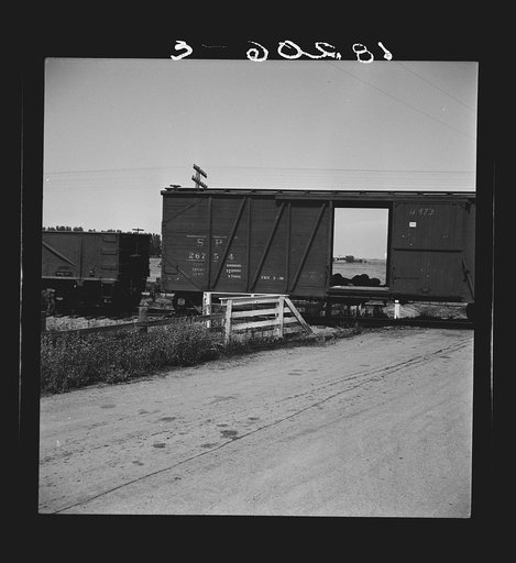 Itinerant laborers riding the freight. West side of San Joaquin Valley, California