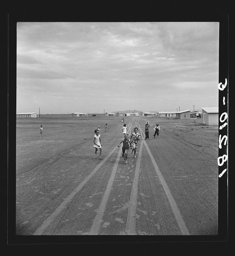 Farm Security Administration Casa Grande project, Arizona. Large-scale corporate farming by sixty-two families who divide profits. Children in this group came from eight different states