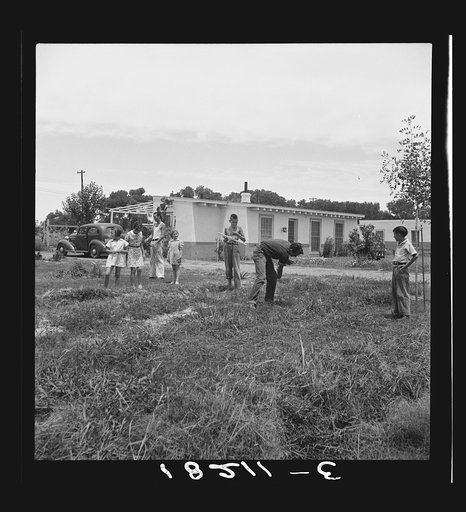 Sunday morning on the Baxter part-time farms project. Arizona