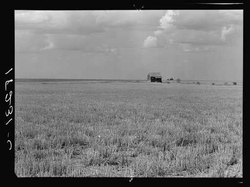 Abandoned farm home in wheat field near Gould, Oklahoma