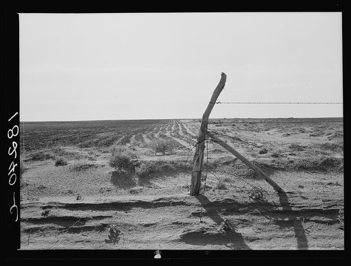 Furrowing against the wind to check the drift of sand. Dust Bowl, north of Dalhart, Texas