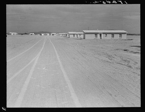 Casa Grande project (Farm Security Administration), Arizona. Large scale-corporate farming by sixty-two families who divide the profits. Most of them are from Oklahoma and Texas. They get to where the land wouldn't make them anything so they left and came out here. Many were on Work Projects Adminis