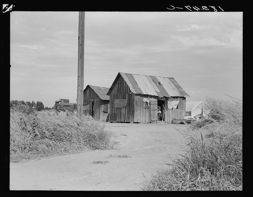 Home of agricultural workers in Arizona. Two families live in this house.  They have been in Arizona for six months. Before that they worked in south Texas, picking cotton. "Blair had a farm near Blair, Texas but didn't get it paid for so we started our moving."  Near the Casa Grande project, Arizon