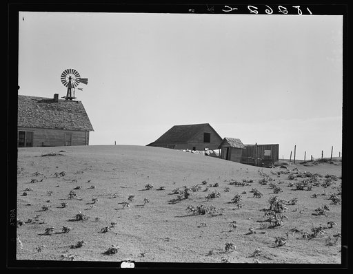 Dust Bowl farm. Coldwater District, near Dalhart, Texas. This farm is occupied. Others in this area have been abandoned