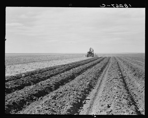 Dust bowl farmer driving tractor with young son, near Cland [i.e. Claud?], New Mexico.  "I left cotton growing east of Wichita Falls to come out here to get to grow wheat. (The superior status of wheat over cotton farmers is traditional.) I guess I've made 1000 miles right up and down this field in 
