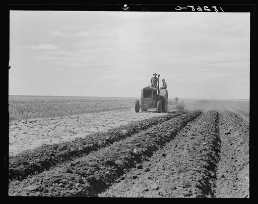 Dust bowl farmer driving tractor with young son near Cland [i.e. Claud?], New Mexico