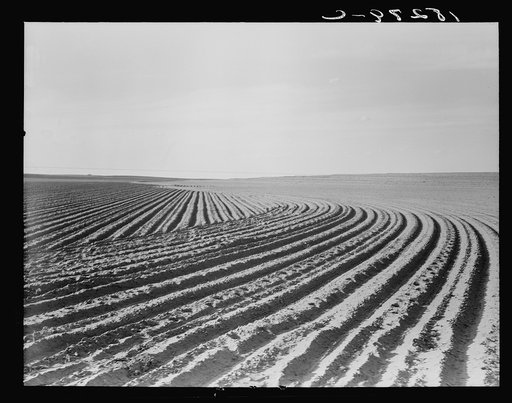 Contour plowing on mechanized farm of the Texas Panhandle
