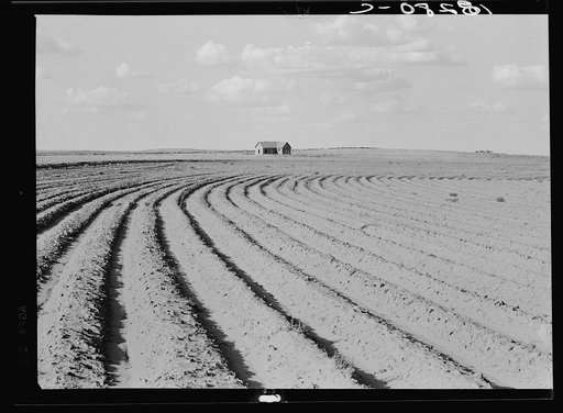 Power farming displaces tenants from the land in the western dry cotton areas. Texas Panhandle