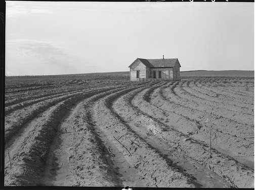Power farming displaces tenants from the land in the western dry cotton area. Childress County, Texas Panhandle
