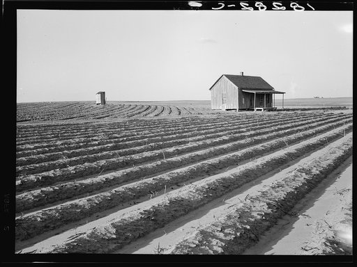 Abandoned tenant house seen across tractored fields. Hall County, Texas.  Many tenants who have filled the land on the family-farm basis are made landless, forced by the machine into the towns, or reduced to day labor on the farms. Large numbers who have gone to the towns have fallen on relief, or e