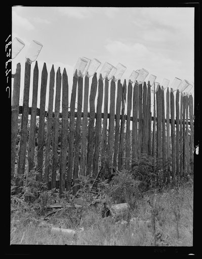Fruit jars being sterilized on old lady Graham's back fence in berry season. Near Conway, Arkansas. "We just gather and can peas, beans, berries, and sausage when we butcher the hogs in the winter. We put up seventy-five quarts of berries, sixty of beans, sixty of kraut, thirty of grapes and twenty 
