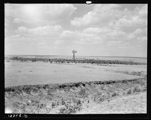 Cattle range on the high plains of the Texas Panhandle
