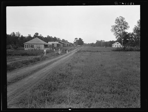 Delta cooperative farms in 1938. Hillhouse, Mississippi