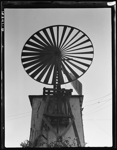 Windmill on small farm near Tracy, California