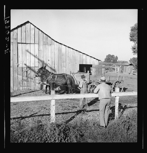 Farm Security Administration rural rehabilitation client, Tulare County, California, consulting with county supervisor. He and his family of seven were on relief. He had lost his arm on a construction project. Compensation for the arm had bought a small farm of fifteen acres, and a six hundred loan 