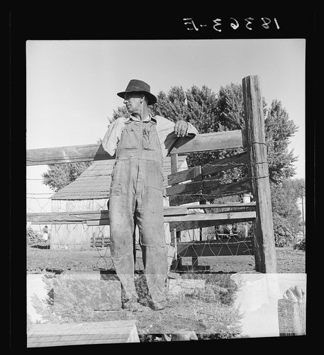 Farm Security Administration rural rehabilitation client. Tulare County California
