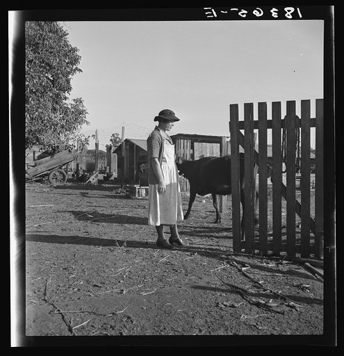 Wife of Farm Security Administration rural rehabilitation client. Tulare County, California