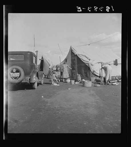Auto camp which rents tent space where migrant citrus workers live. Tulare County, California