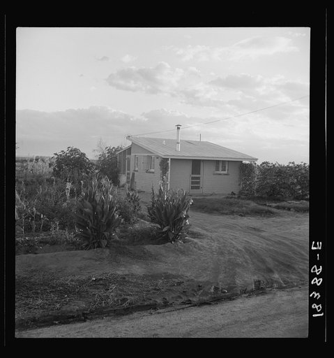 Untitled photo, possibly related to: Type house at Garden Homes, Arvin (Kern County) California. This is an Farm Security Administration housing project for low income farm workers. Rent of eight dollars and twenty cents monthly includes electricity and water